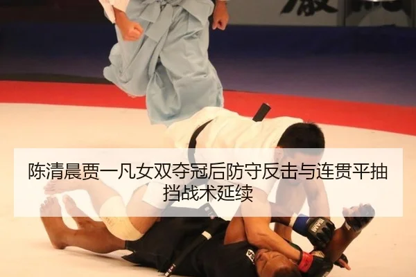 chen-qing-chen-jia-yi-fan-nv-shuang-duo-guan-hou-fang-shou-fan-ji-yu-lian-guan-ping-chou-dang-zhan-shu-yan-xu-3-886.jpg